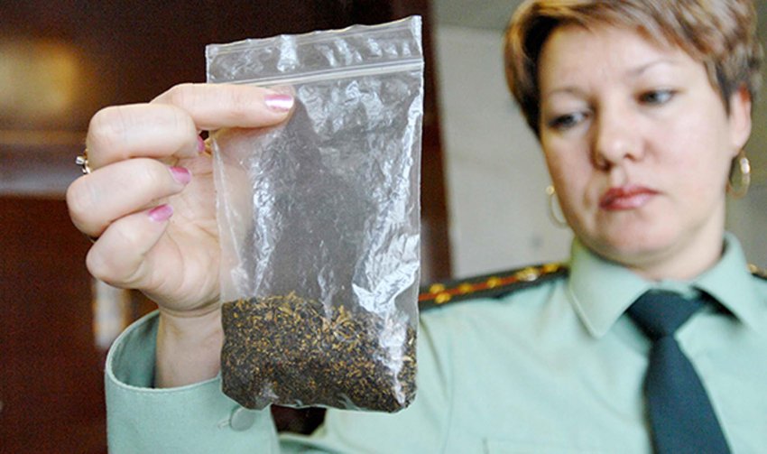 Условный срок за хранение марихуаны уголовные статьи за выращивание конопли